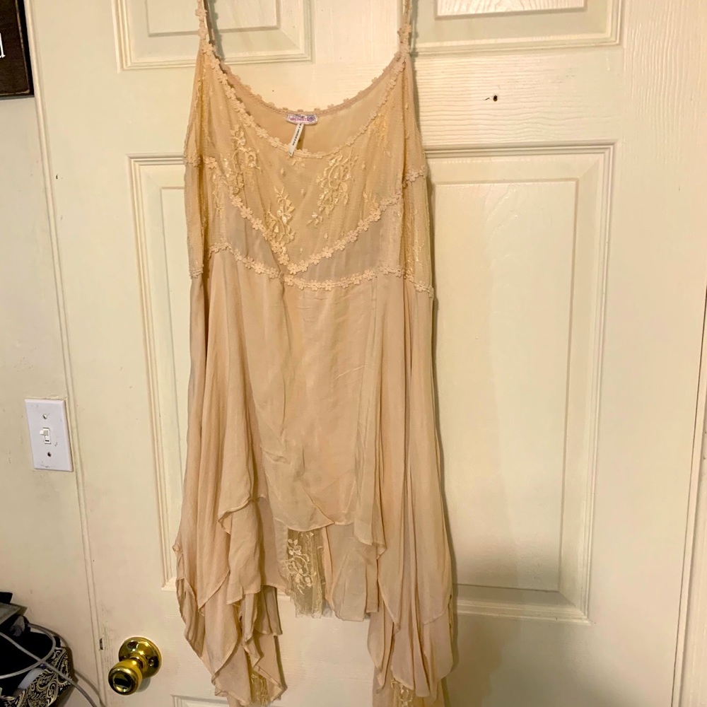 Free People Lace and Chiffon Dress